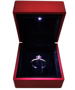 925 Ayar Gümüş Kırmızı Taşlı Kalp Sen Ve Ben Yüzük Işıklı Kutuda